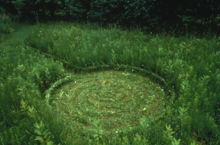  Cul de sac, braided growing meadow grasses, path, 15’ long x 2’ wide x circle 13’ diameter with 12”H woven edge 