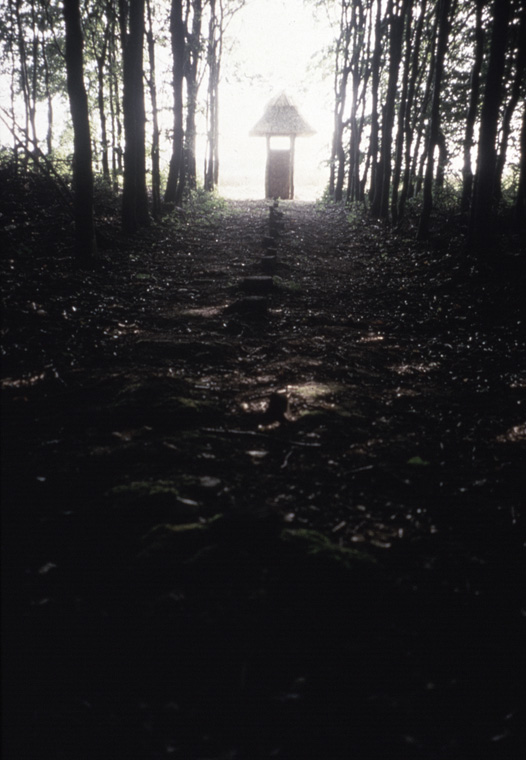  East /West approach path to hilltop site, planted beech forest found with one row removed, approximately 450’ x 10’. 