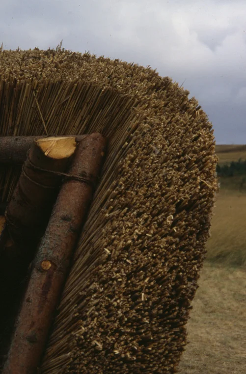 Detail interior thatching.