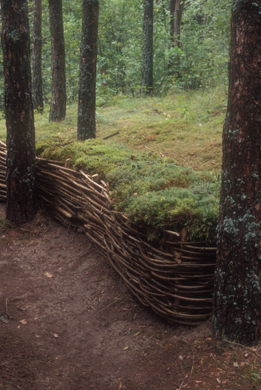  Detail of entrance, moss from forest floor lifted and transplanted into the sculpture. 