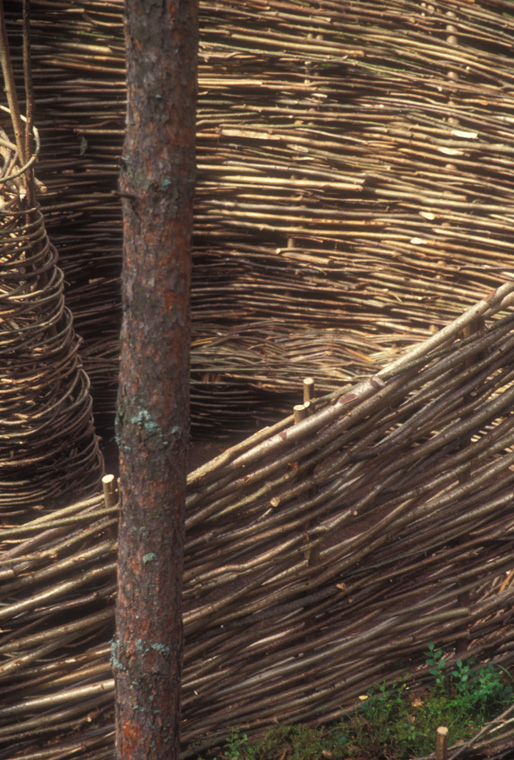  Detail of woven hazelnut walls. 