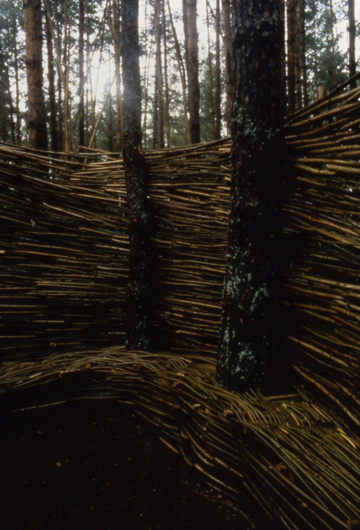  Detail of interior with&nbsp; bench woven around living trees. 