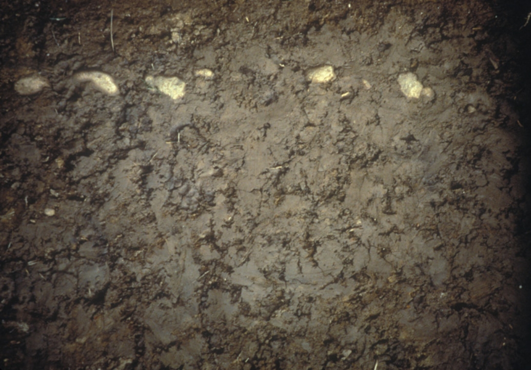  Detail of rammed mud solid showing row of “ledeblck” (guide stones from glaclation) upon which embedded log rests. 