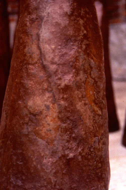 Detail of ear trumpet surface.