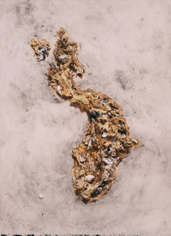 Periwinkle Prudence 2005, Naragansett Bay, Rhode Island Seaweed and flotsam collected on Prudence Island, on paper, approx 9 x 13".