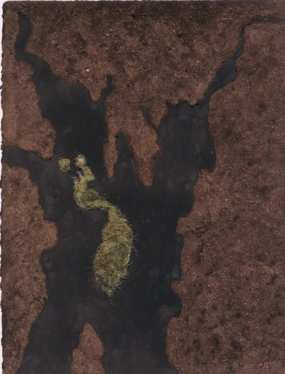 Prudence Island In The Womb Of The Continen t 2005, Naragansett Bay, Rhode Island Soil from Warren, RI and seaweed from Prudence, 10 x 13".