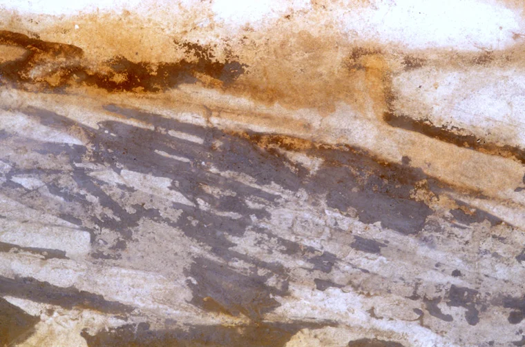 Bedding Planes Bay of Cassis, France 2000 Found natural pigment on paper 52 x 120", detail.