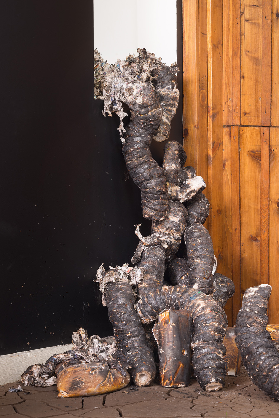  Installation detail of charred organic forms shedding their skins as they “climb” through window. 