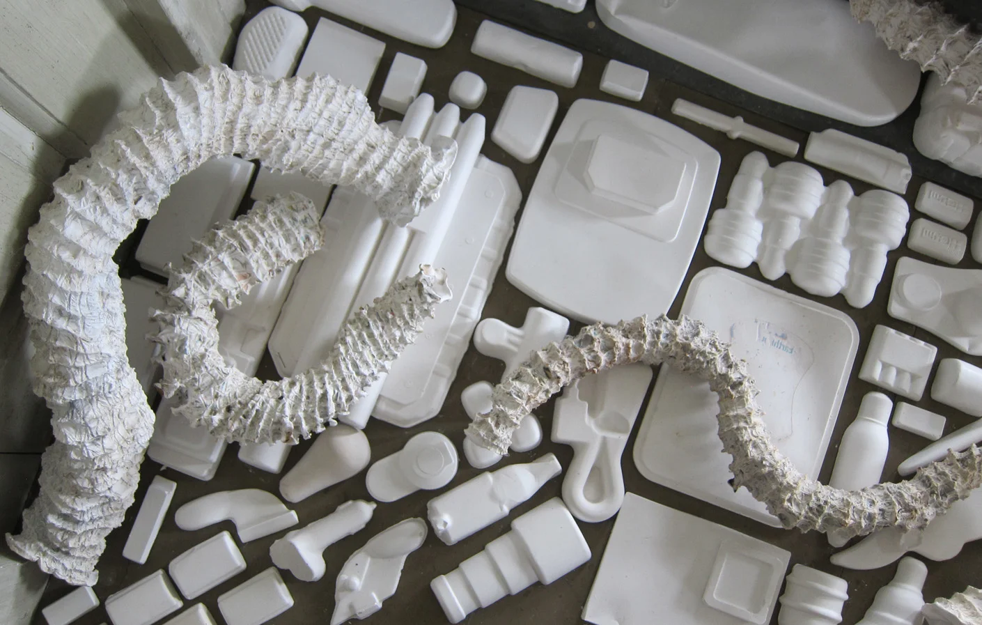 Seemingly Unconnected Events 2011 Wentworth-Coolidge State Historic Mansion Portsmouth, NH Main installation in Coolidge Room DETAIL of plaster casts of fabricated, larger-than-life seaworm habitat tubes (Hydroides Dianthus) and consumer goods; seaworms 2-3” diameter x 17 shortest L and 37” longest; consumer goods life-sized. 