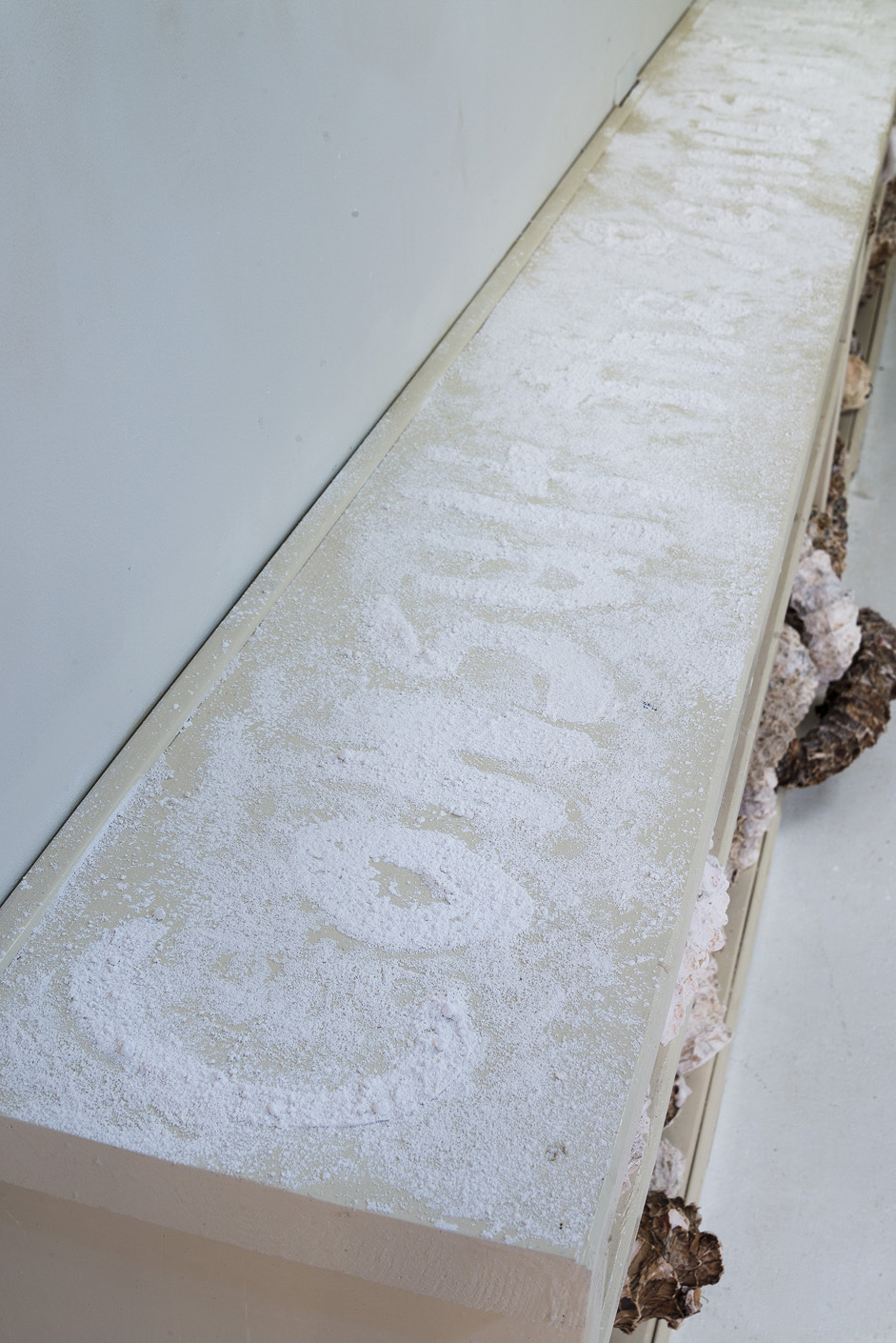  Installation detail of bookcase surface, text from Wes Jackson stenciled in powdered plaster “Consult the genius of the place . . . nature as measure” 