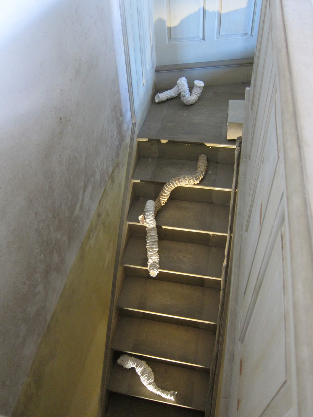   Seemingly Unconnected Events: Ascending/Descending  2011 Wentworth-Coolidge State Historic Mansion Portsmouth, NH  Installation in stairway leading from Coolidge Room to lower level, plaster casts of organic forms with casts into consumer goods pac