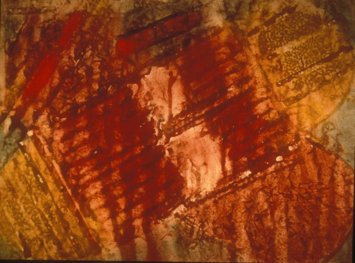 Lobster Trap 1987 Dry pigment stains on paper, 36 x 44".