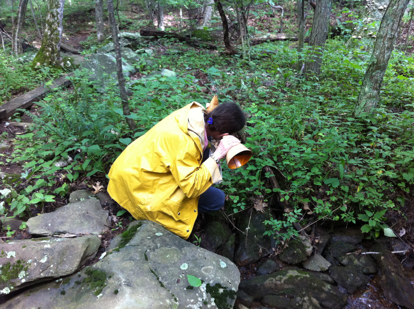  Sight and Sound Walks, collaboration with Robert Carl, listener with horn at Stony Creek, Blue Ridge Mountains, VA 