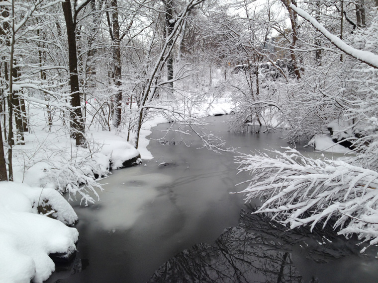  The Loch in the Ravine, North Woods, three days before the Sound and Sight Walk. (photo: Karen McCoy) 