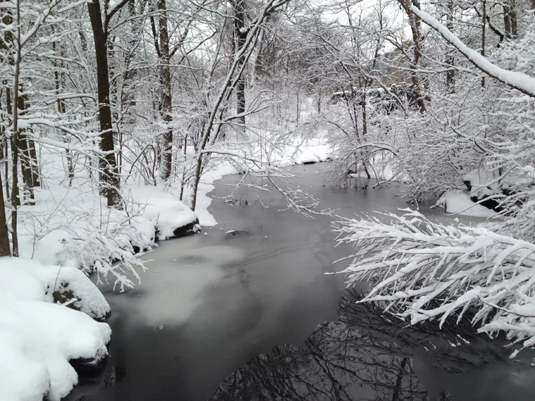 The Loch in the Ravine, North Woods, three days before the Sound and Sight Walk. (photo: Karen McCoy)