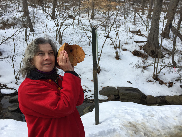  Maureen listening intently in the North Woods, Sound and Sight Walk, Central Park, New York City, March 8, 2015, hand carved wooden burl trumpet in use, walk planned and led by Karen McCoy by invitation of the Walk Exchange, NY. (photo: Karen McCoy)