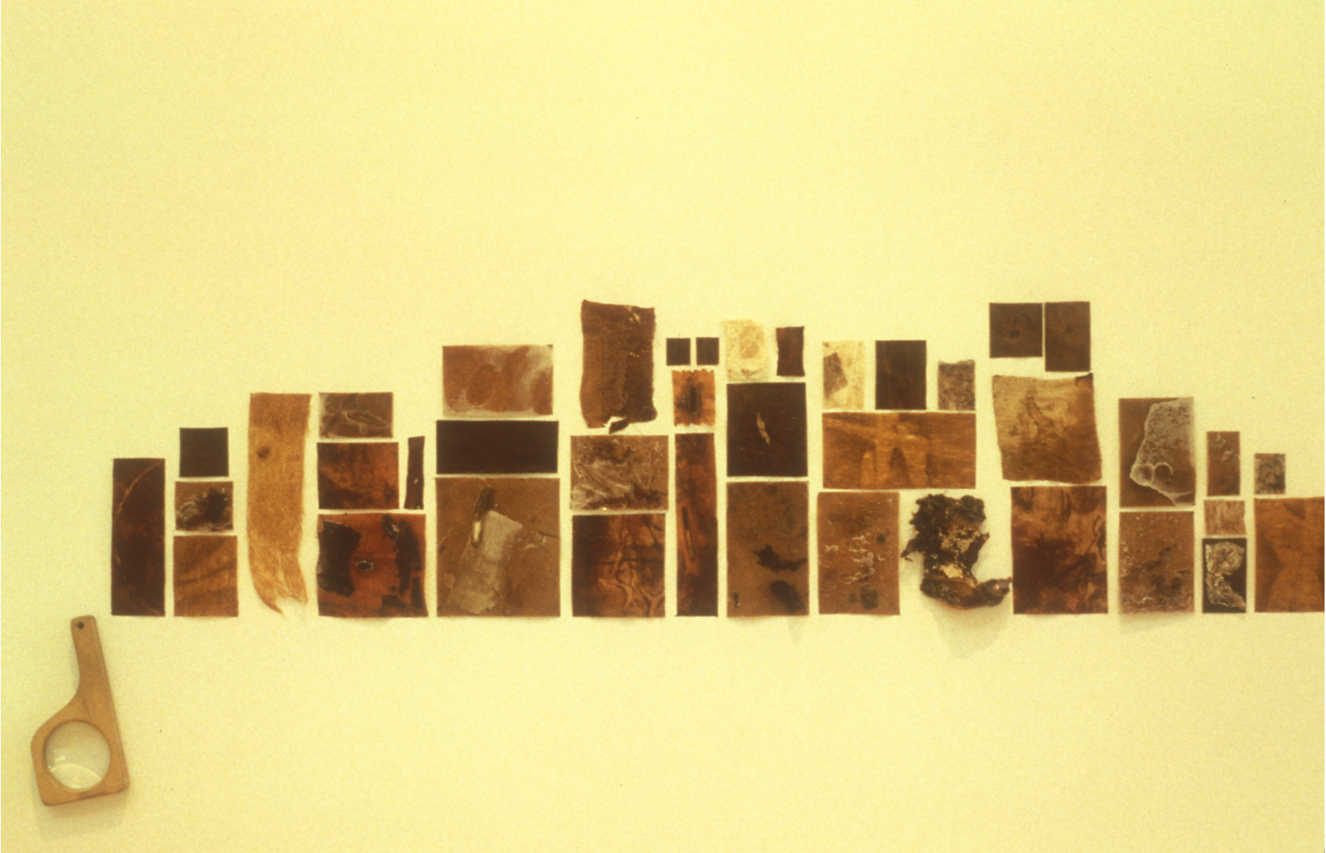 PRODUCTION PROCESS DRAWINGS (Courting The Accident) 1993-94 Wax, shellac, pigments, clay, hide glue on synthetic felt and paper, kelp, plastic and collage, magnifying glass, size range 1" x 1", to 4" x 6".