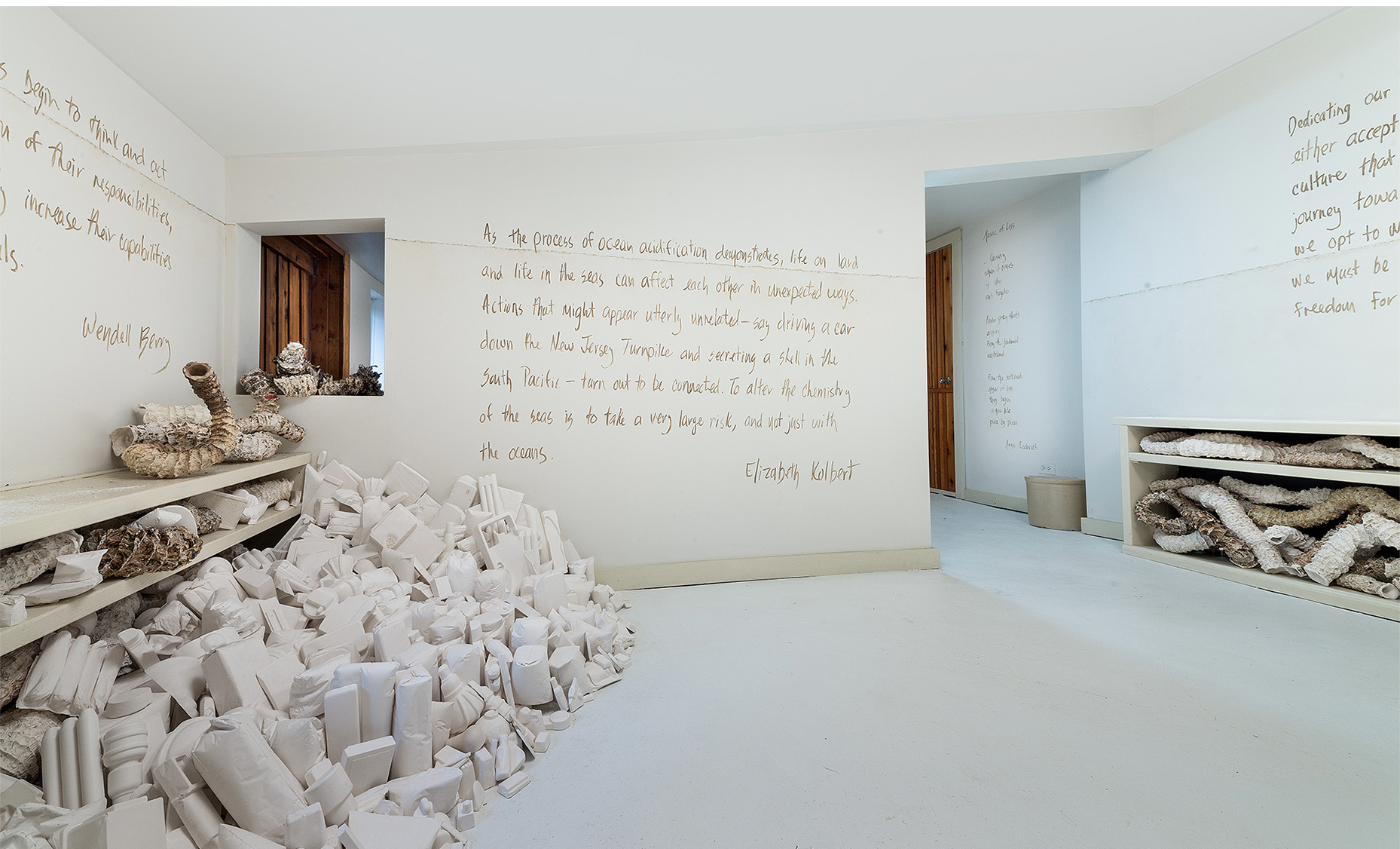  Installation view of consumer goods casts “washed up” against the bookcase with text by Elizabeth Kolbert. 