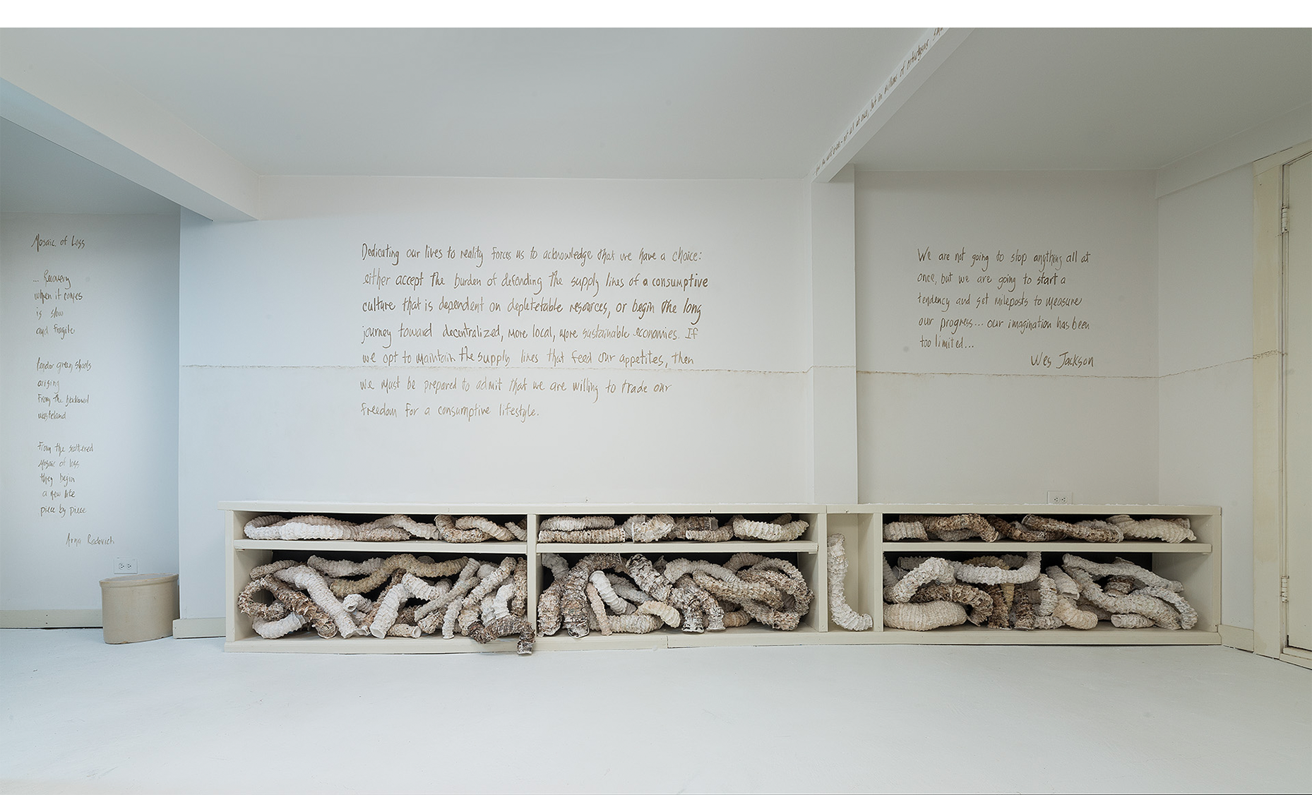  Installation detail of sea worm forms taking the place of books (some trying to exhibit vertical spines) with text by Arna Radovitch (L) and Wes Jackson (center and R). 