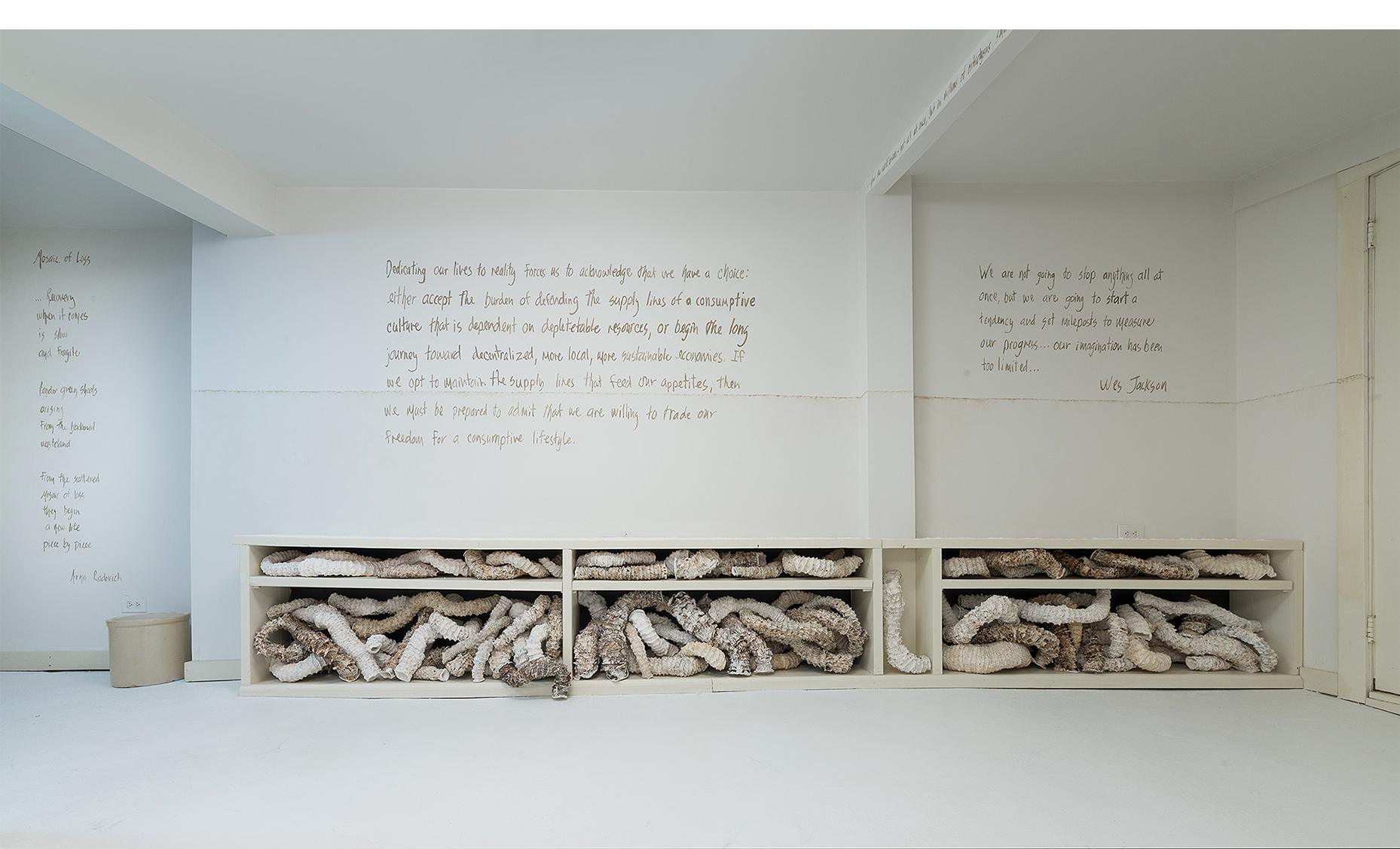Installation detail of sea worm forms taking the place of books (some trying to exhibit vertical spines) with text by Arna Radovitch (L) and Wes Jackson (center and R).
