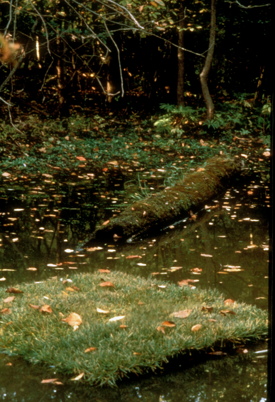  Detail of one raft. 