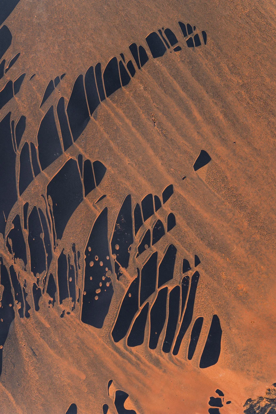 Unintended Consequences Detail, egg tempera with found earth pigments, 108 x 50”