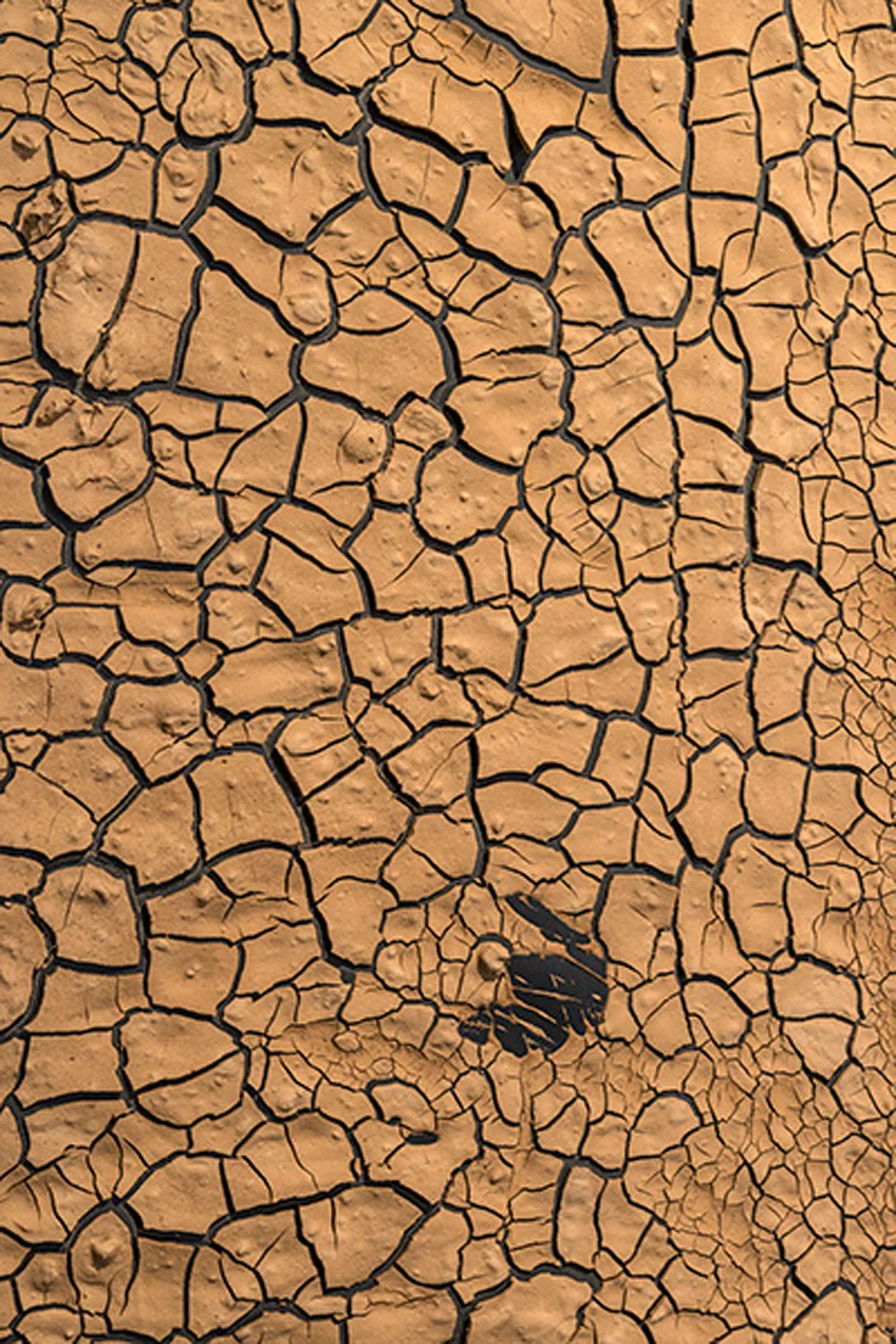 DETAIL - Colorado 2015, egg tempera paste with found earth pigments