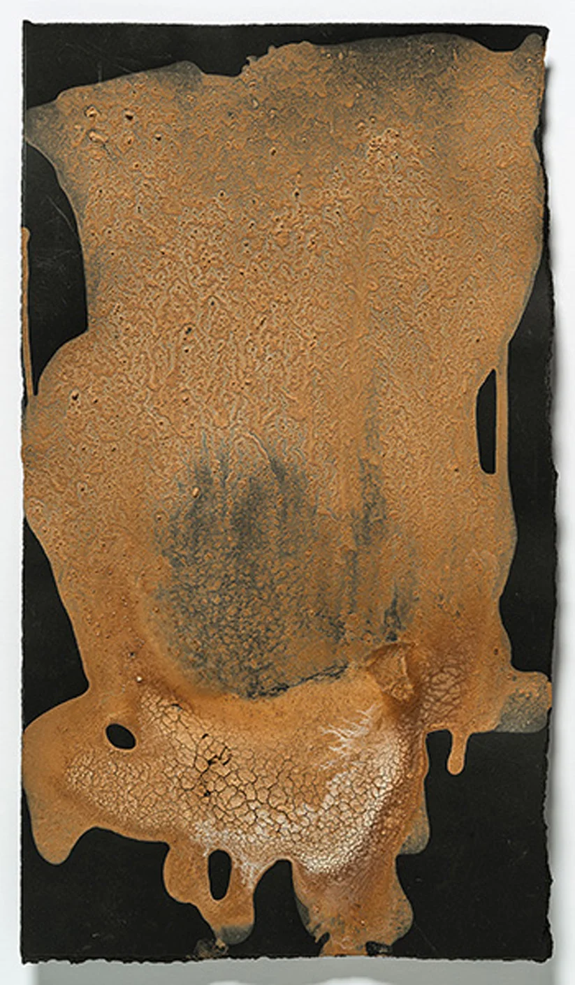 Genoa Frana 2014, egg tempera with found earth pigments