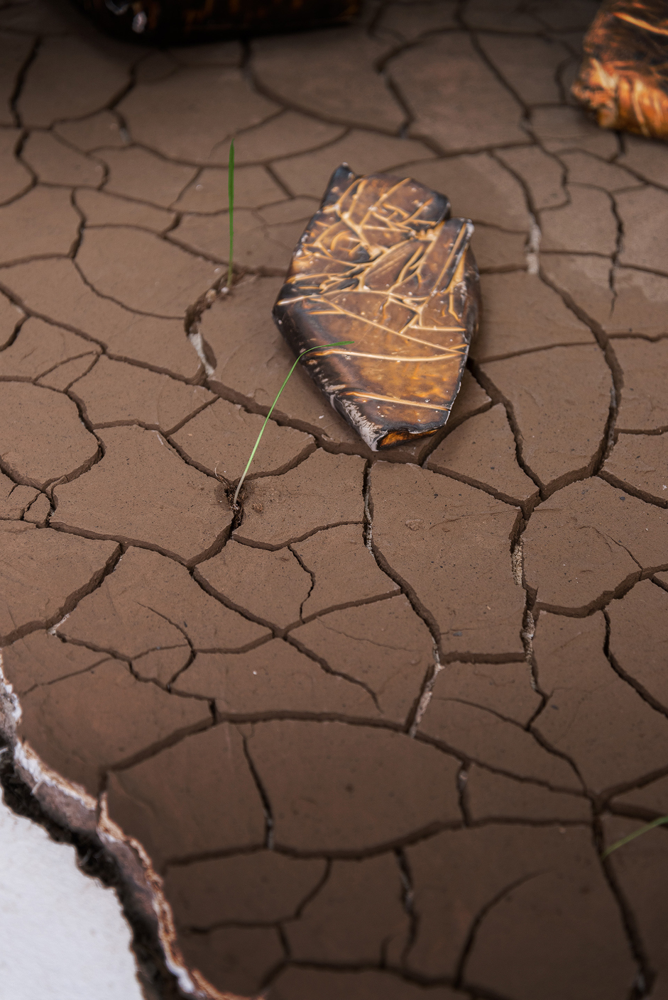  Installation detail of grass seeds sprouting from cracked earth. 
