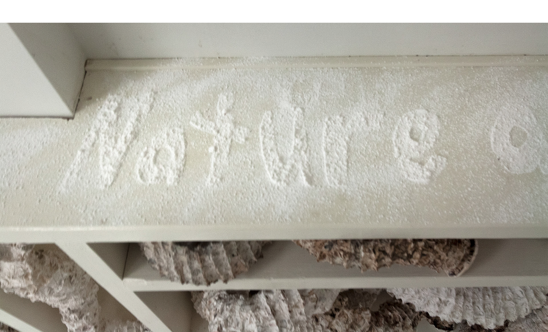 Installation detail of bookcase surface, text from Wes Jackson stenciled in powdered plaster “Consult the genius of the place . . . nature as measure”. 