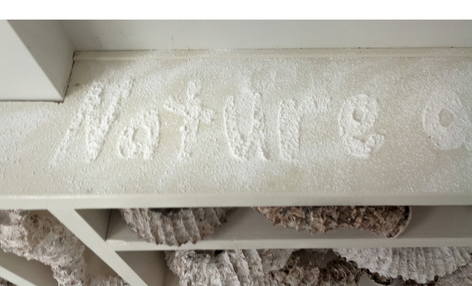 Installation detail of bookcase surface, text from Wes Jackson stenciled in powdered plaster “Consult the genius of the place . . . nature as measure”.