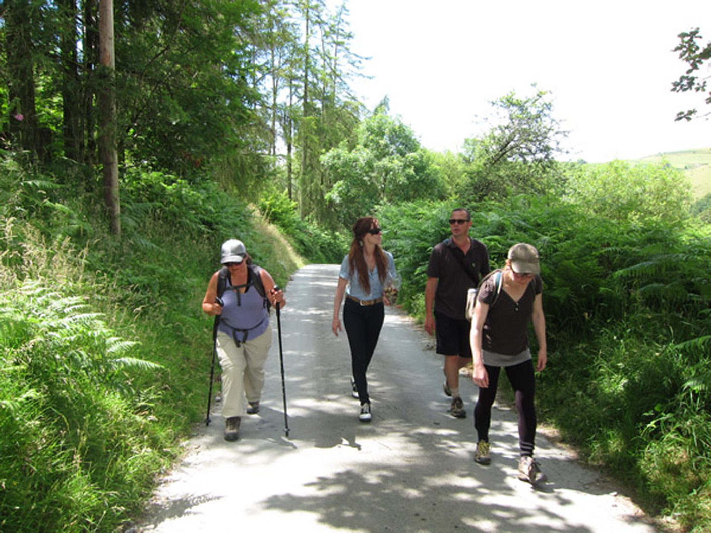  Footwork members walking with Jess Owens to the wind turbine array in the Welsh countryside that was the subject of her film. L to R, Micha Meyers, Moira Williams, Mark Hunter and Clare Qualman 