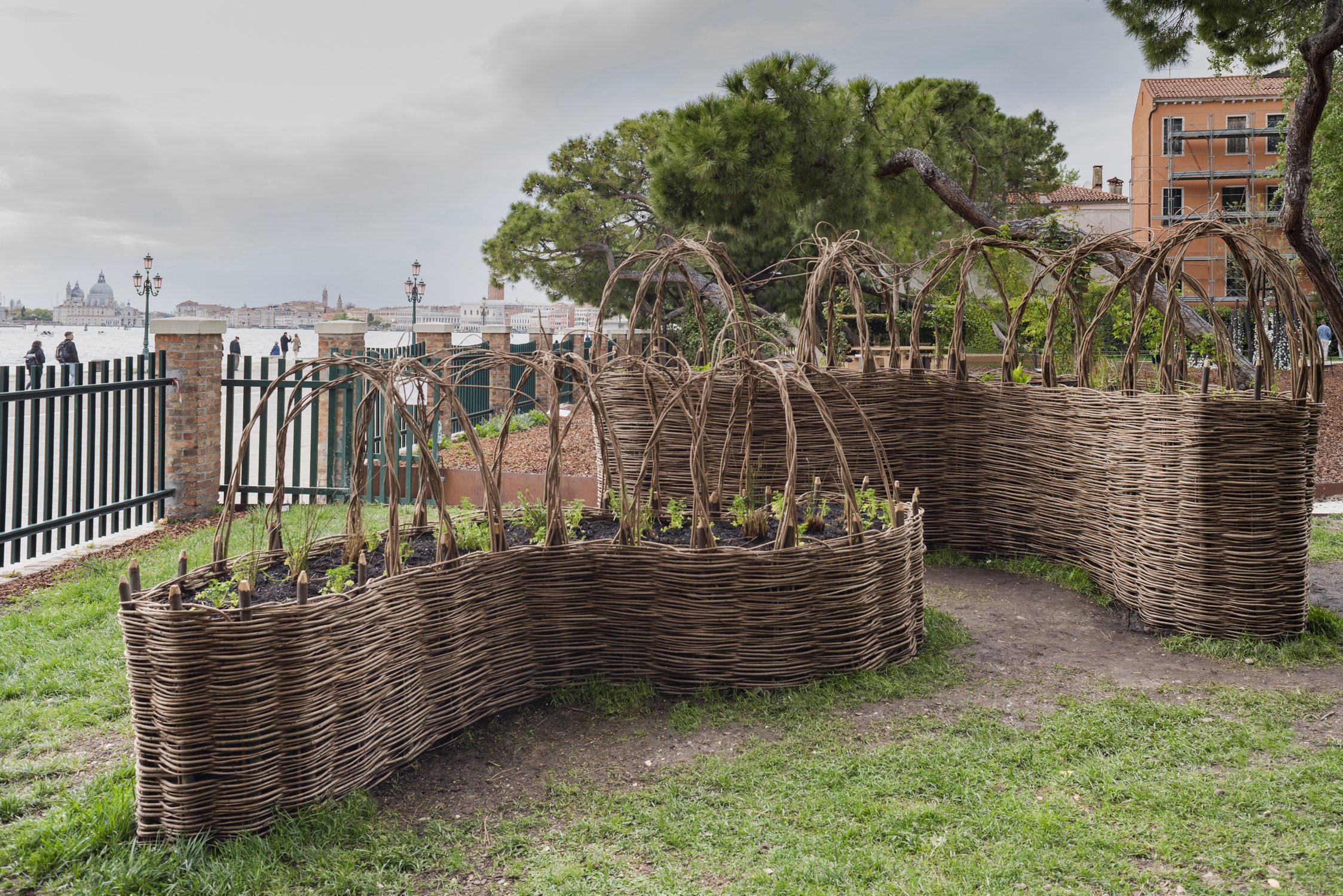  Two woven gardens with arbors, newly planted for Biennale opening day, April 2022 