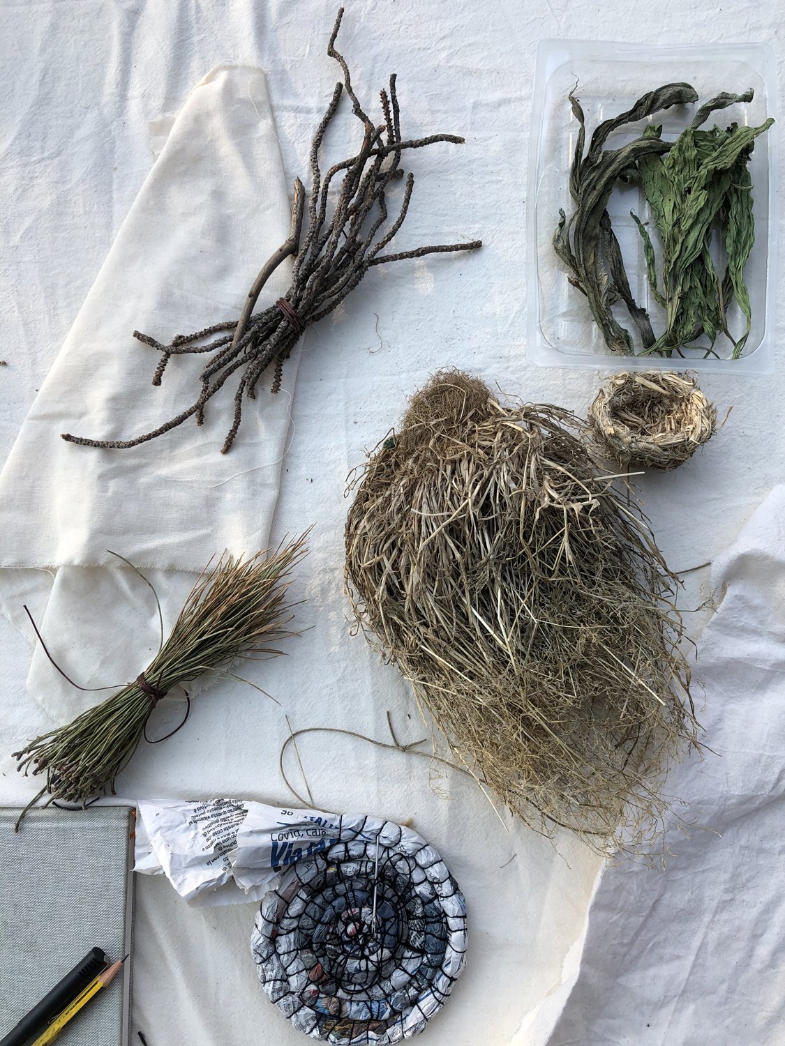 Material examples, clockwise from the bottom: newspaper coiled with thread, pine needles, pine branches, leaves, grass &amp; root basket, and grass and roots sample.  Photo: Bianca Bonaldi 