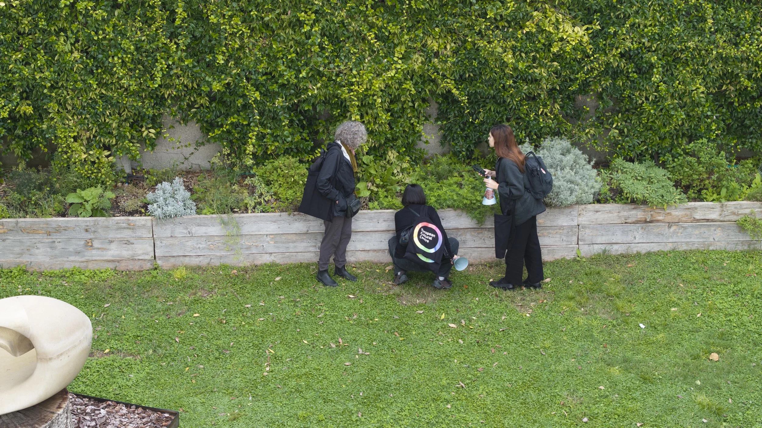 Examining plants at the meeting point in the Marinaressa Garden