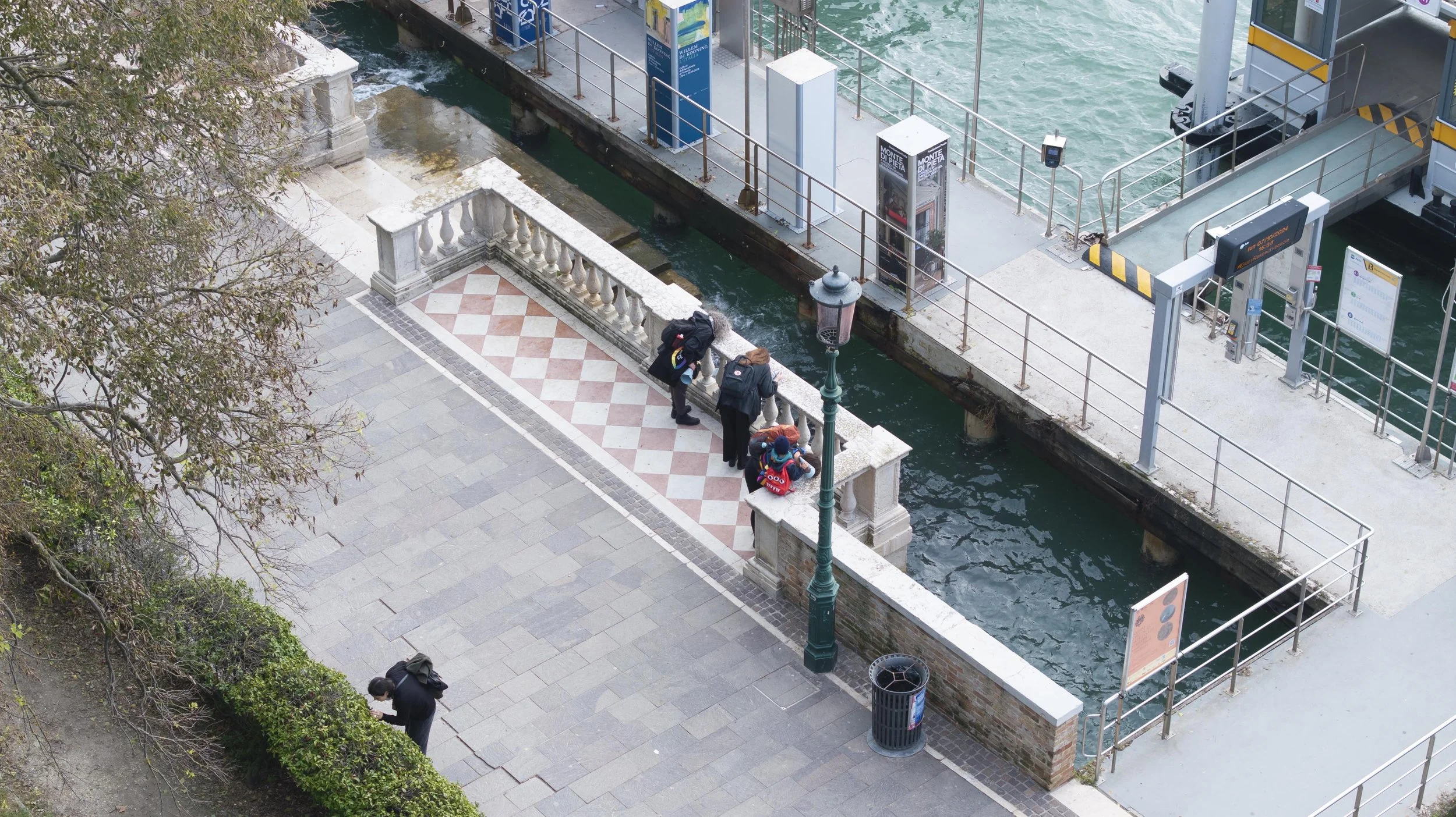 Examining lichen growth near the Bienalle Motoscafi ferry stop