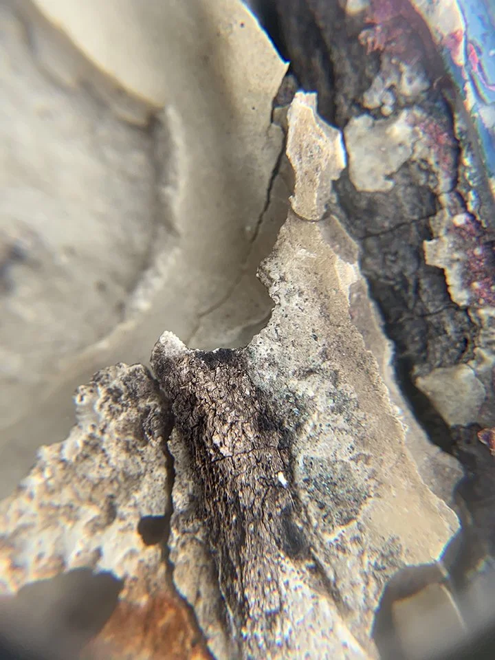 Weathered plastic seen through the lens