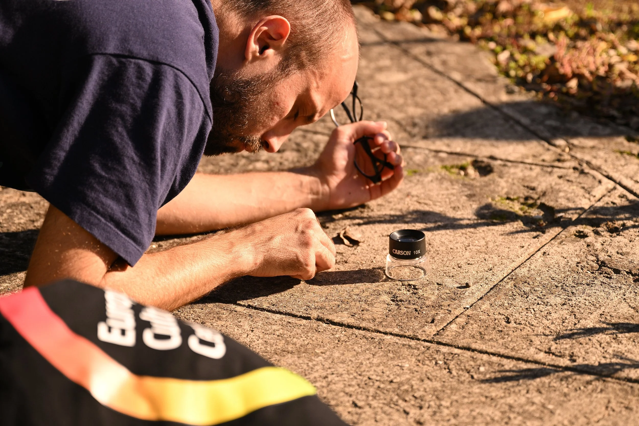 Preparing to examine the paving within the abandoned structure