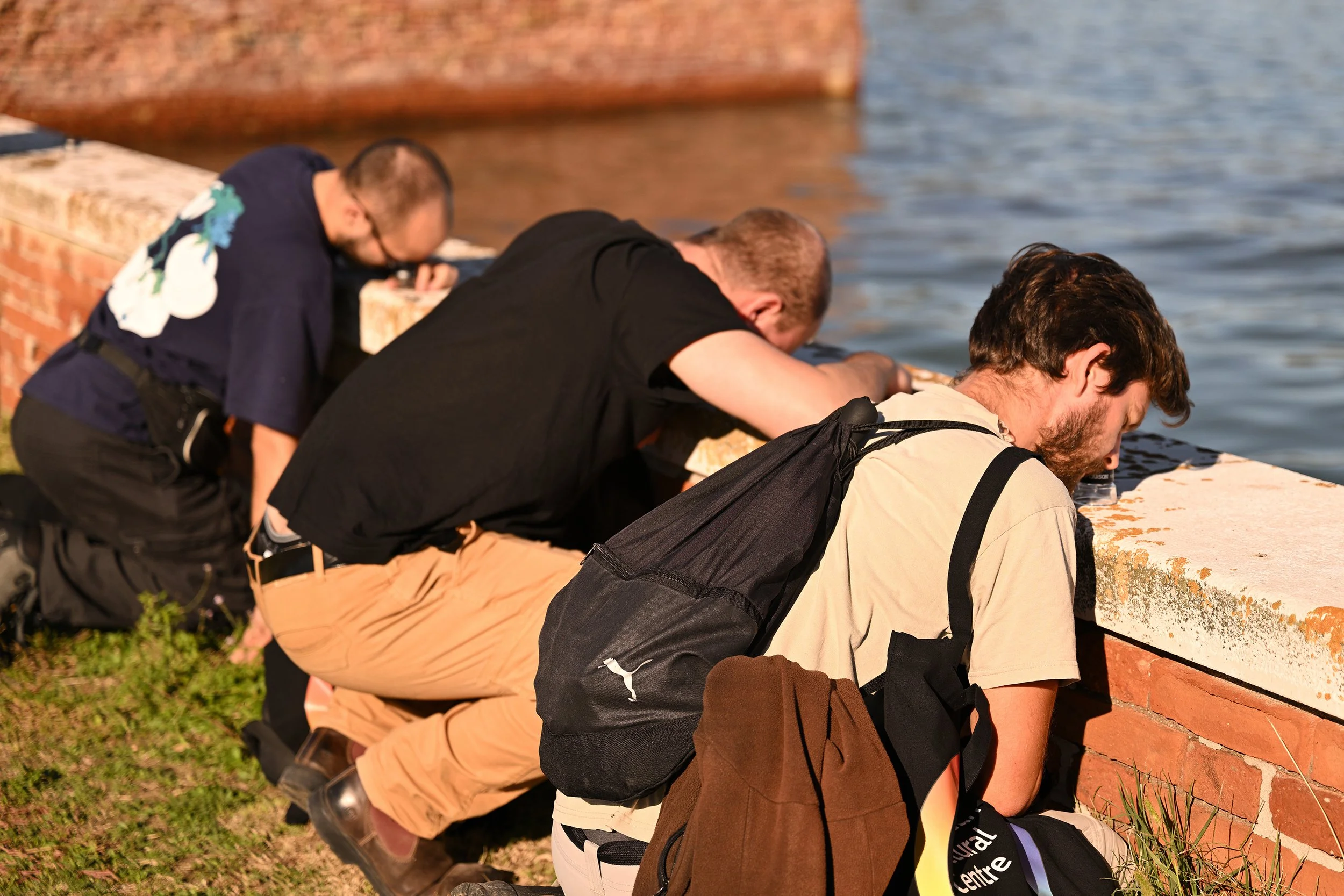 Close scrutiny of the lichen