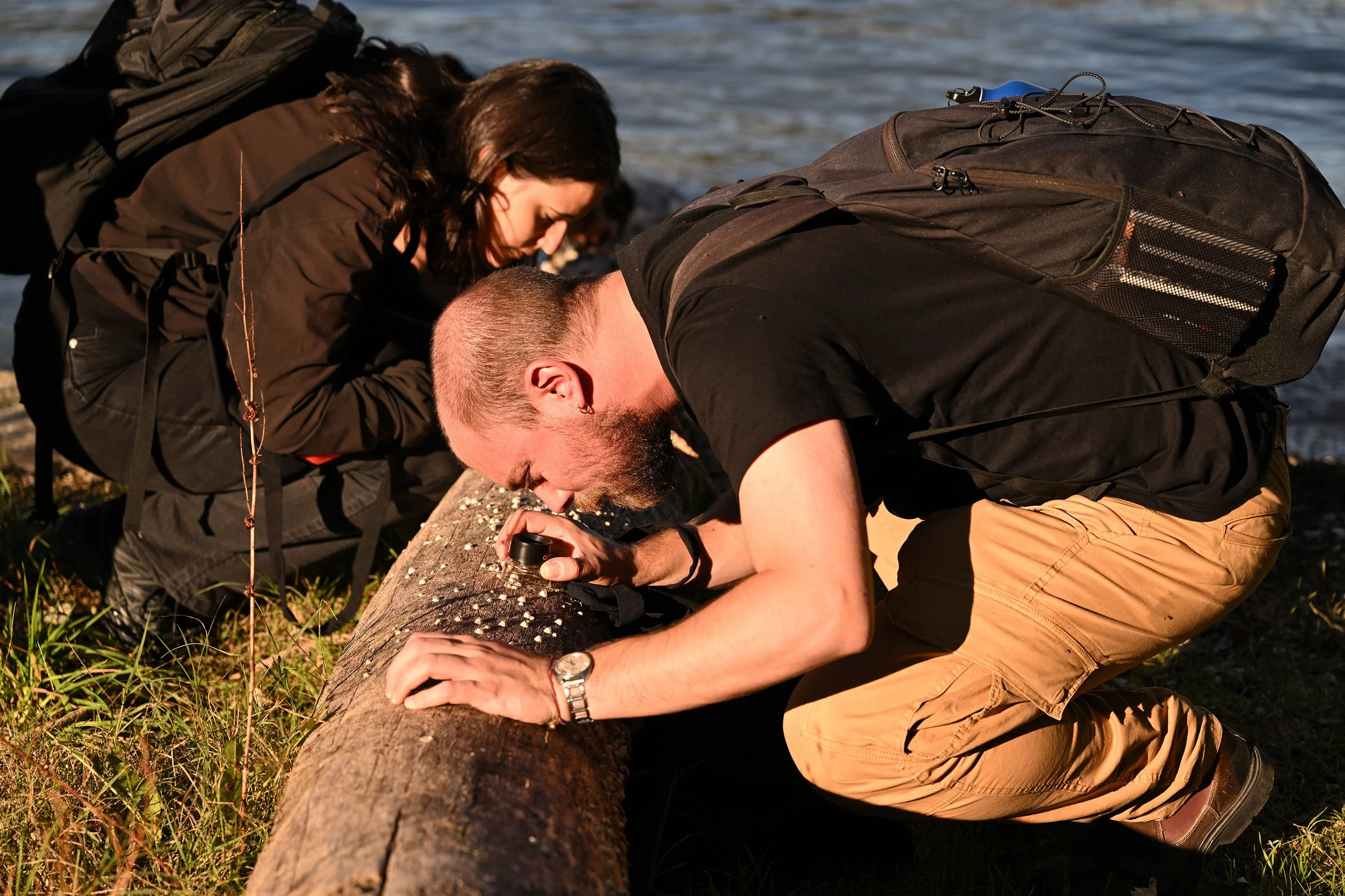 Examining Barnacles with the lenses