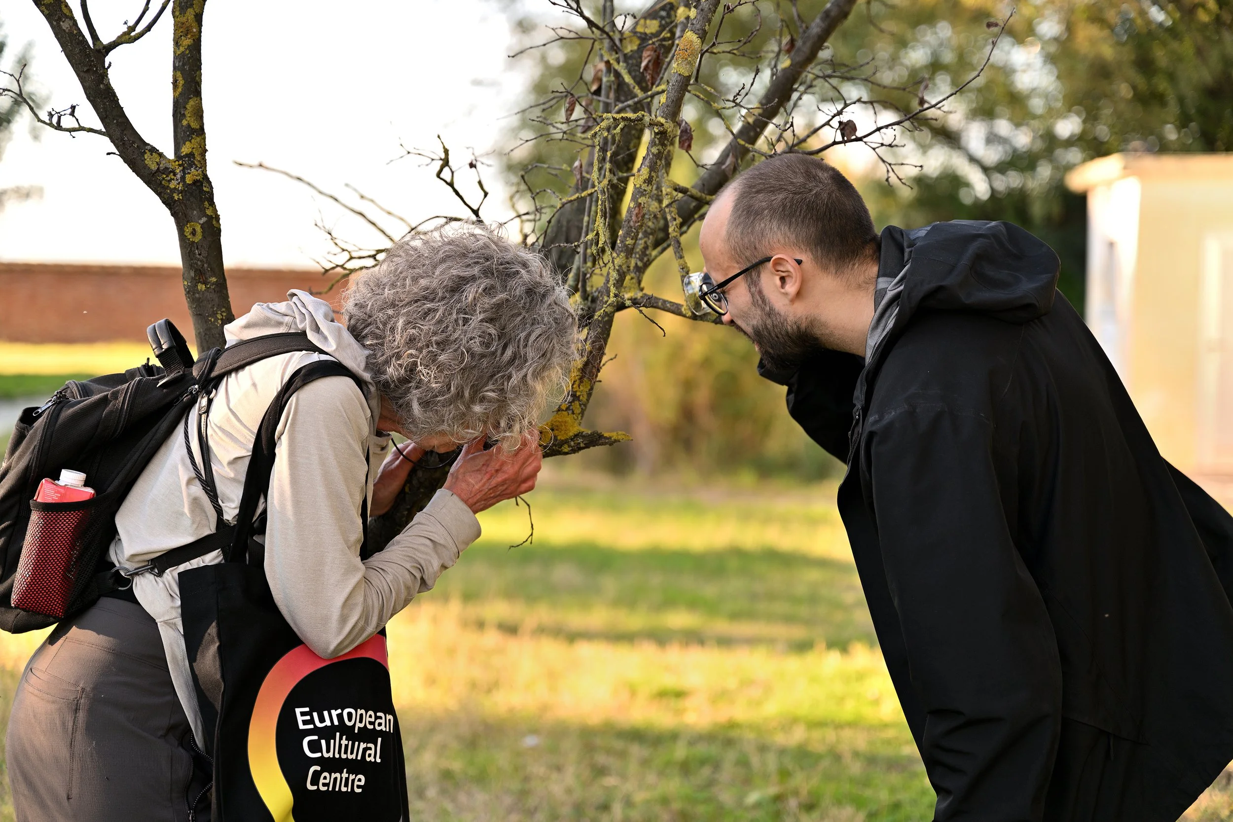 Examining the lichens