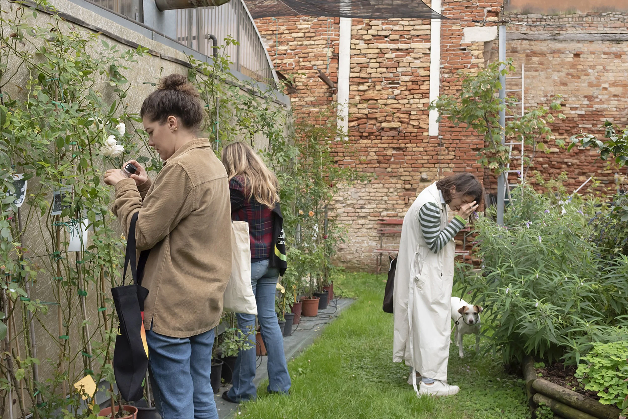 Examining plants in the garden
