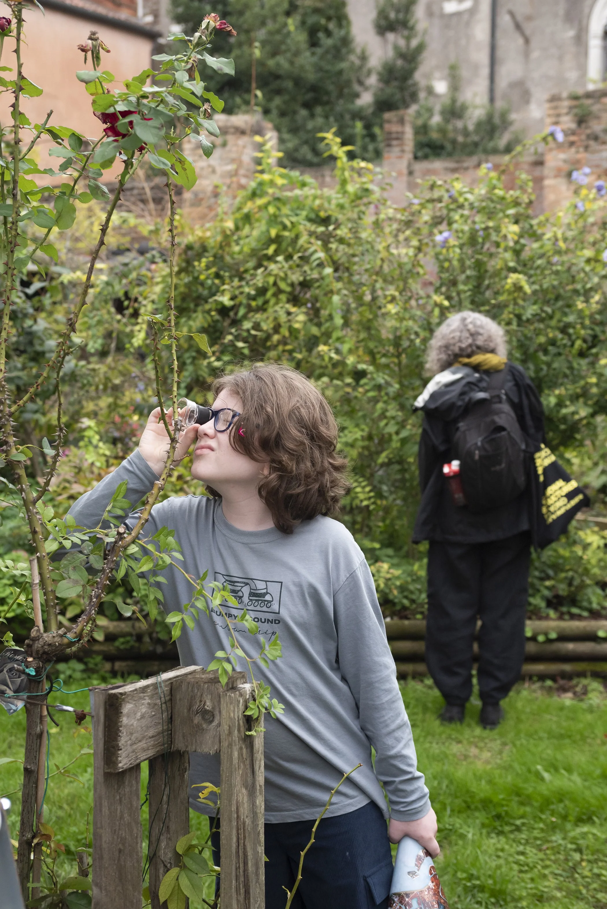 Examining a plant’s stem