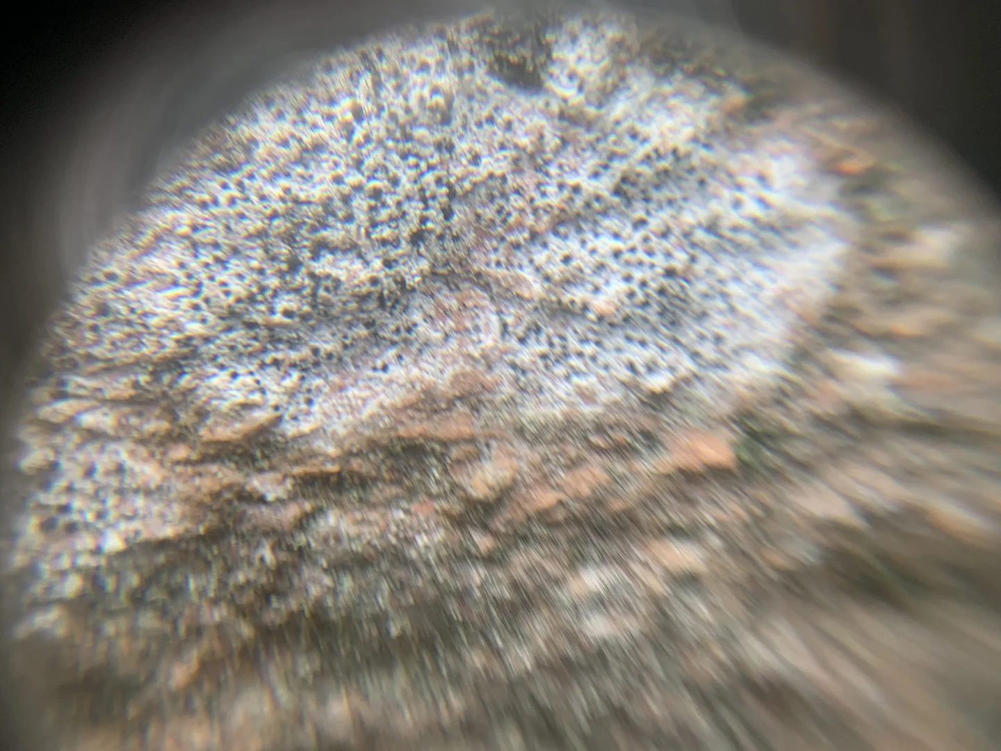 The wall as seen through a lens