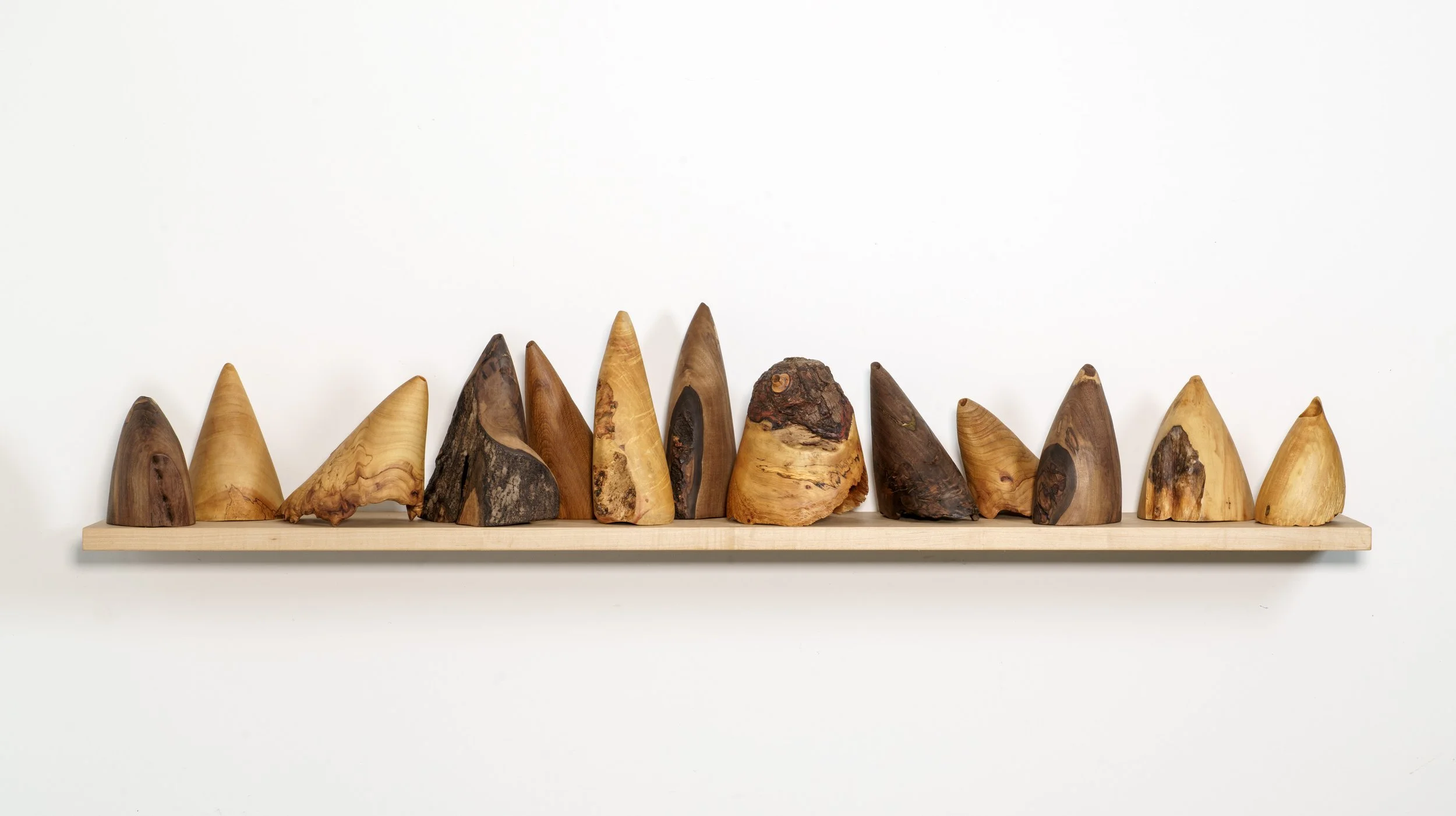 Karen McCoy - Hearing Horns - Aug 2025--4-Edit.jpg