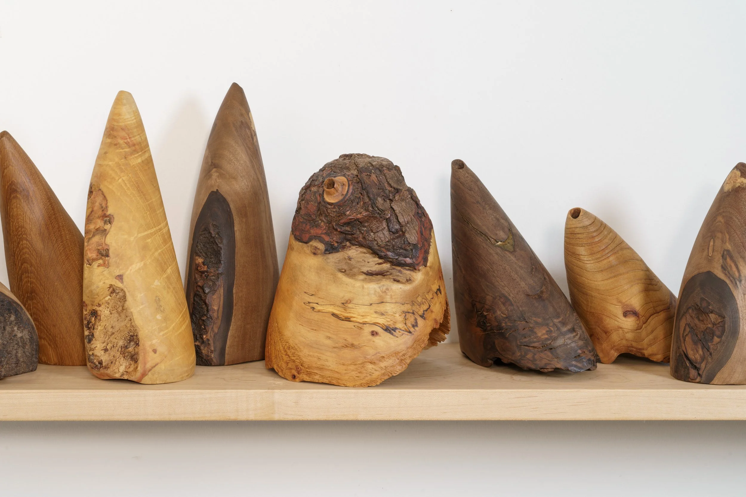 Karen McCoy - Hearing Horns - Aug 2025--16-Edit.jpg