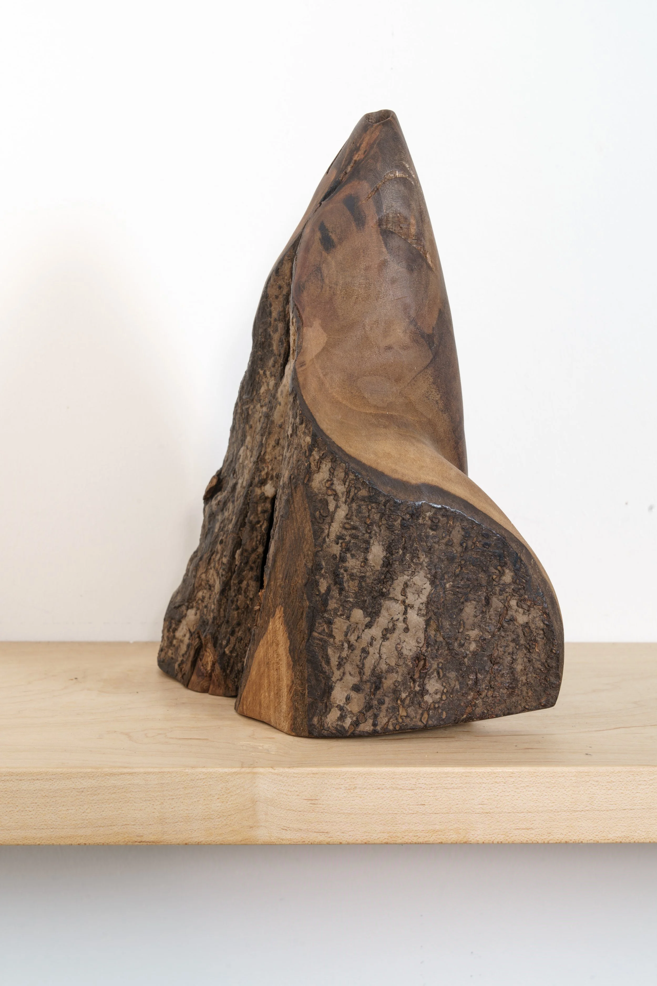 Karen McCoy - Hearing Horns - Aug 2025--45-Edit.jpg