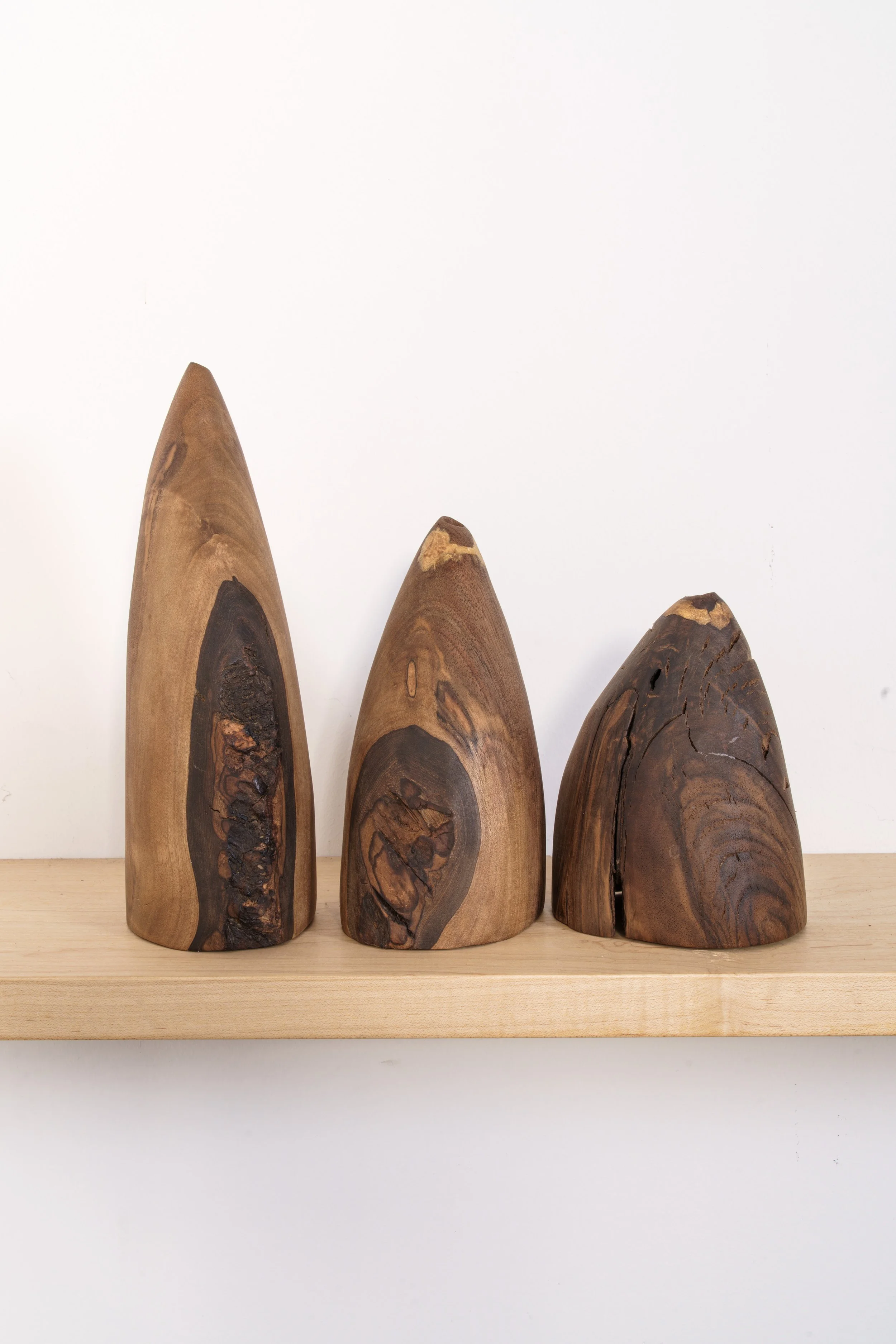 Karen McCoy - Hearing Horns - Aug 2025--61-Edit.jpg
