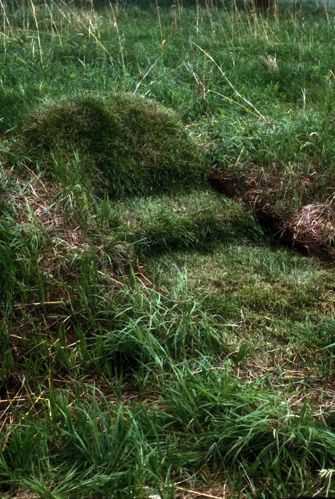 16.LoveseatN copy.jpeg