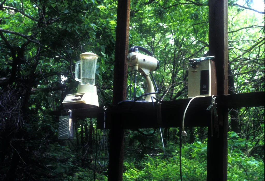   Abandoned Farm Site | Detail  Cleared remains of drystone farmhouse cellar, with shelf containing hand and electric appliances, blender, electric mixer, electric can opener, whisk, grater, potato smasher and hand crank can opener 